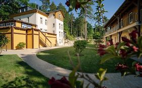 Waldidylle Gohrisch, Pension Und Ferienwohnungen