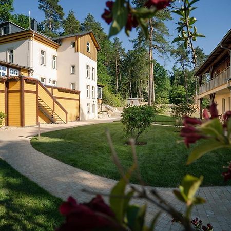 Waldidylle Gohrisch, Pension Und Ferienwohnungen Buitenkant foto