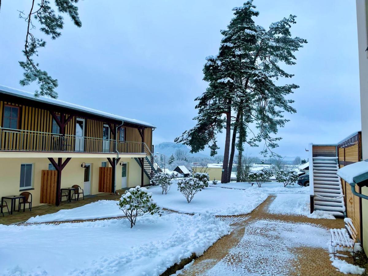 Waldidylle Gohrisch, Pension Und Ferienwohnungen Buitenkant foto