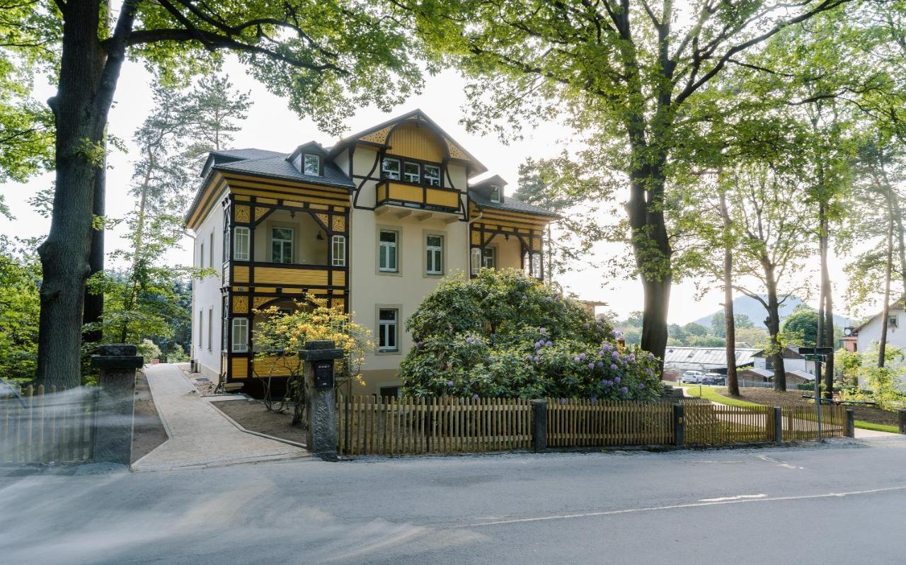 Waldidylle Gohrisch, Pension Und Ferienwohnungen Buitenkant foto