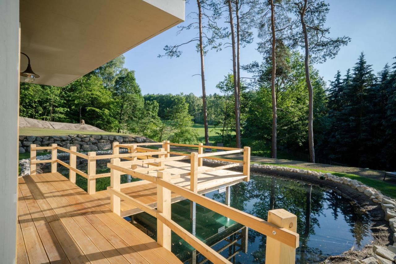 Waldidylle Gohrisch, Pension Und Ferienwohnungen Buitenkant foto