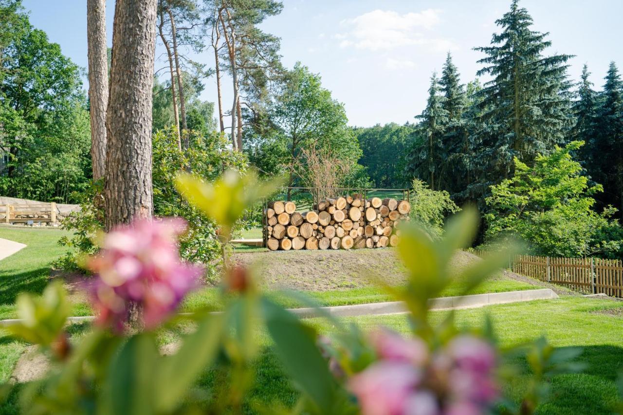 Waldidylle Gohrisch, Pension Und Ferienwohnungen Buitenkant foto