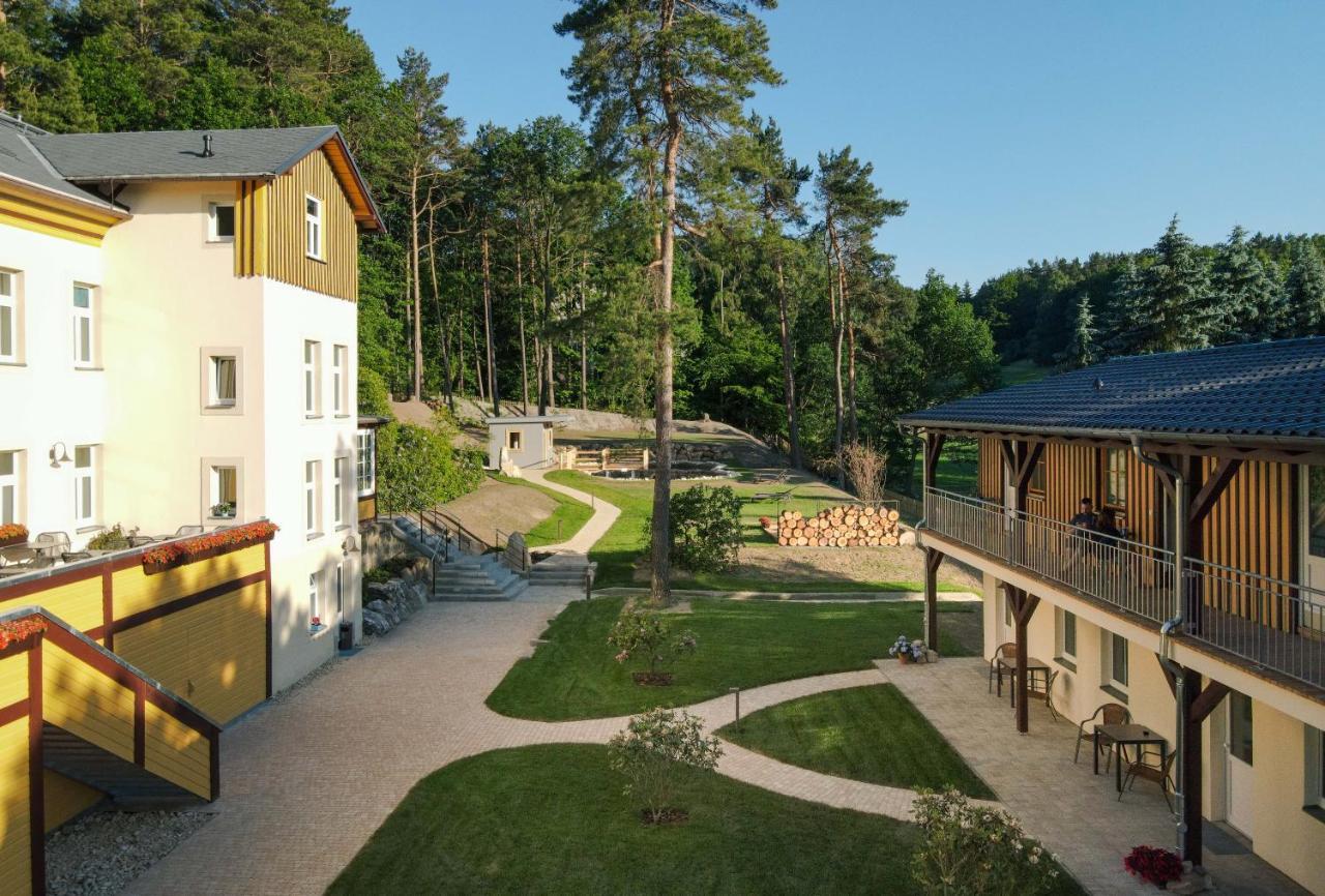 Waldidylle Gohrisch, Pension Und Ferienwohnungen Buitenkant foto