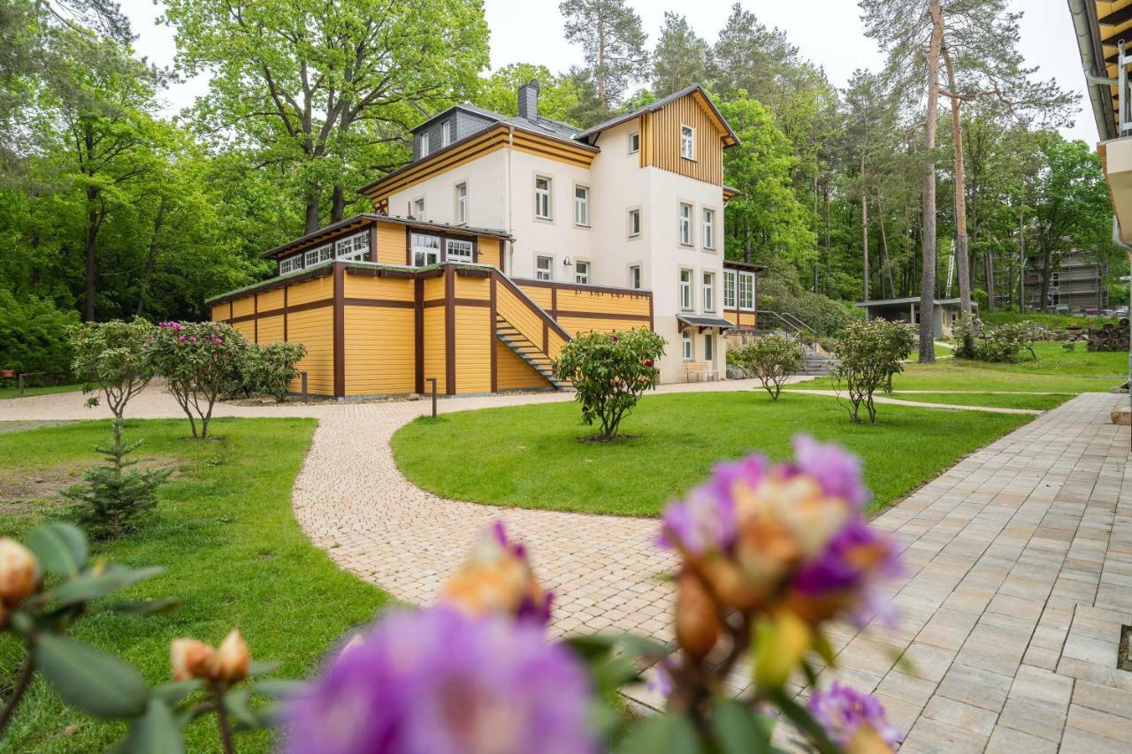 Waldidylle Gohrisch, Pension Und Ferienwohnungen Buitenkant foto